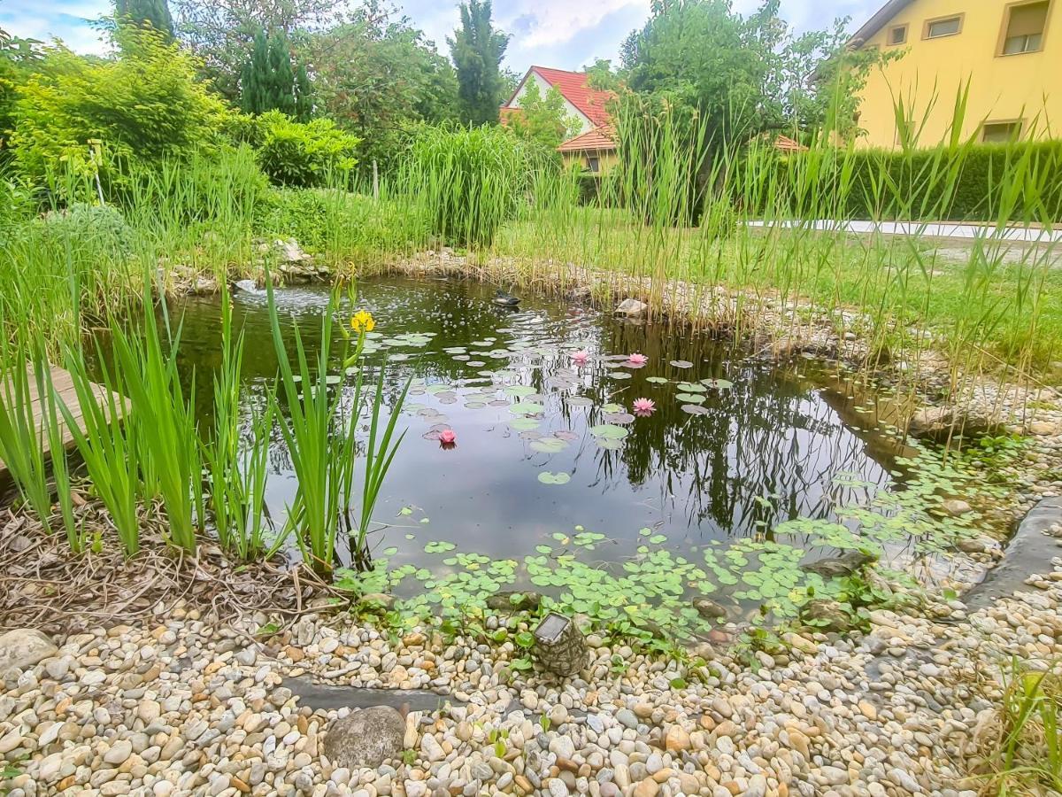 Ditlin Apartmanok Pápa Exteriör bild